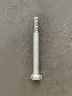 Болт М10х100х1,25 1/59718/21